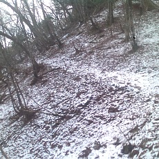 141210_p06.jpg