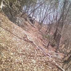 150228_n02.jpg