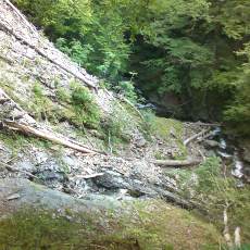 150523_p33.jpg