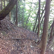 150905_p20.jpg