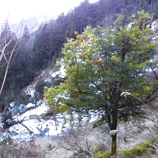 170203_p05.jpg