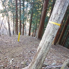 170203_p06.jpg