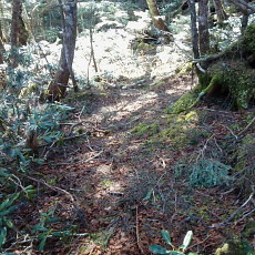 180428_p03.jpg