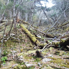 180512_p12.jpg