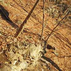 190302_p26.jpg