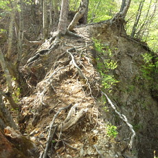 190518_p21.jpg