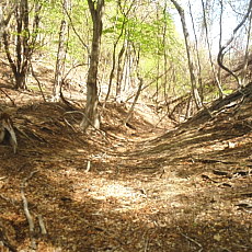 190518_p28.jpg