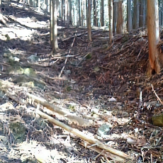 201206_p44.jpg