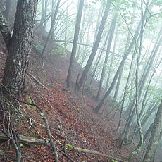 210522_p13.jpg