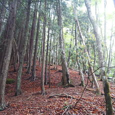 210522_p20.jpg