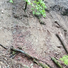 220515_p20.jpg
