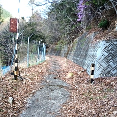 230414_p02.jpg