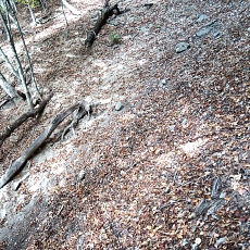 231030_p07.jpg