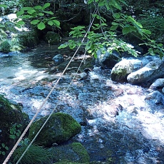 250629_p03.jpg