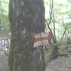 110615_p07.jpg