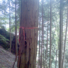 120916_p06.jpg