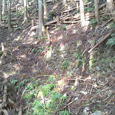 121014_p01.jpg
