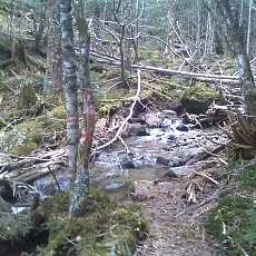 130606_p26.jpg