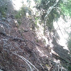 140922_p17.jpg