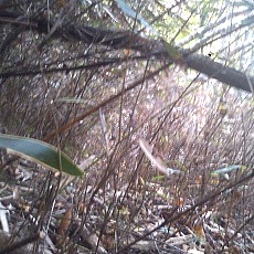 141004_p06.jpg