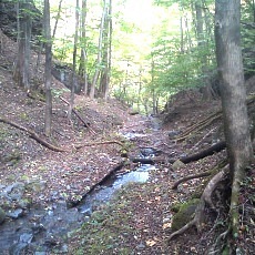 141020_p15.jpg