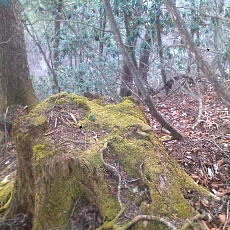 150331_p08.jpg