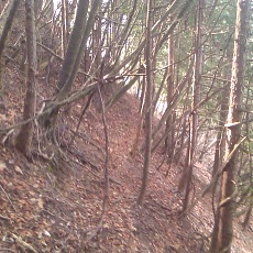 150429_p39.jpg