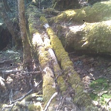 150430_p08.jpg