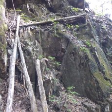 150523_p31.jpg