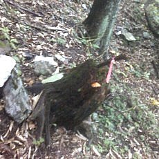 150704_p09.jpg