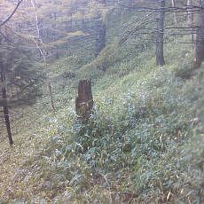 151011_p03.jpg