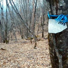 170429_p20.jpg