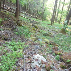 180603_p22.jpg