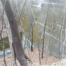 190323_p02.jpg