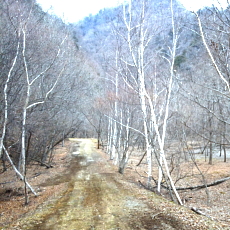 190323_p22.jpg