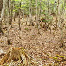 200024_p23.jpg
