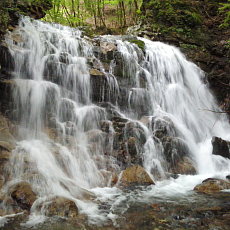 200621_p08.jpg