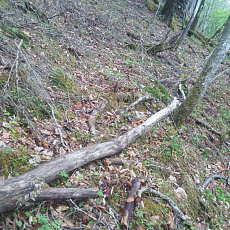 210522_p02.jpg