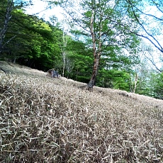 220528_p63.jpg