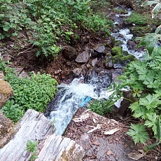 240612_p23.jpg