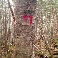 130606_p20.jpg
