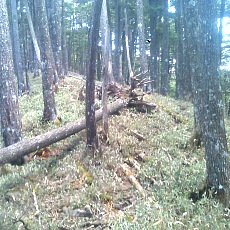 140517_p24.jpg