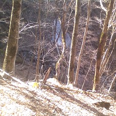 150330_p08.jpg