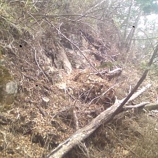 150429_p27.jpg