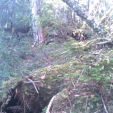 150430_p13.jpg