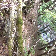 150523_p27.jpg