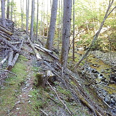 170617_p06.jpg