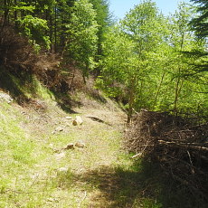 180603_p09.jpg