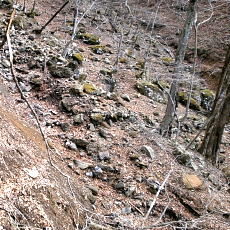 190427_p03.jpg