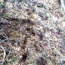 200024_p12.jpg